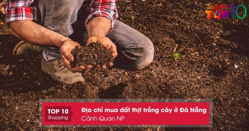 canh-quan-np-top10danang