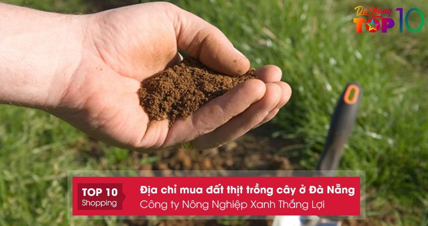 cong-ty-nong-nghiep-xanh-thang-loi-top10danang