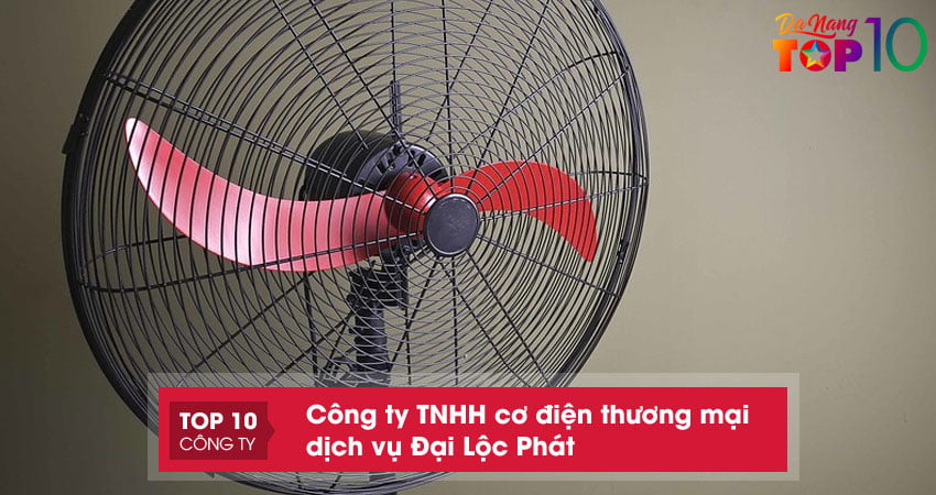 cong-ty-tnhh-co-dien-thuong-mai-dich-vu-dai-loc-phat-top10danang