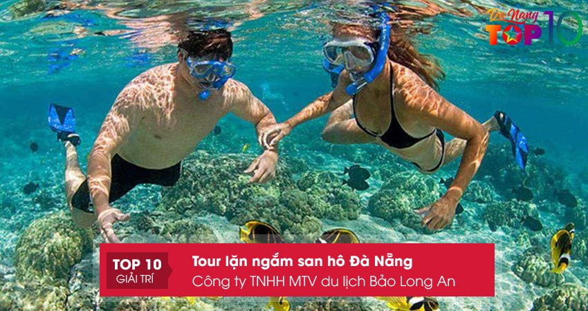 cong-ty-tnhh-mtv-du-lich-bao-long-an-top10danang