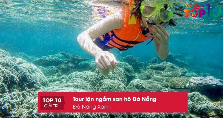 cong-ty-tnhh-tm-dv-du-lich-da-nang-xanh-top10danang