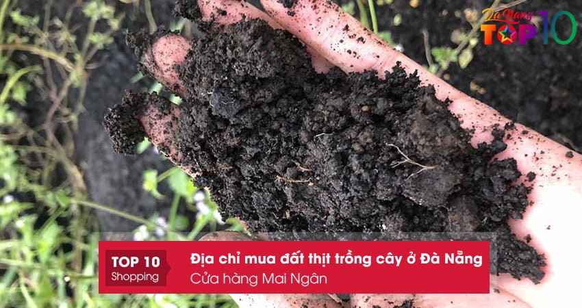 cua-hang-mai-ngan-mua-dat-thit-trong-cay-o-da-nang-sieu-tot-top10danang