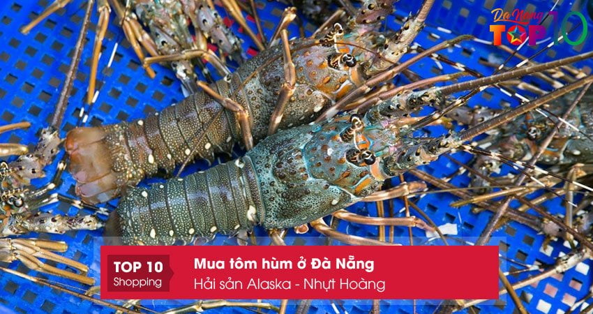 hai-san-alaska-nhut-hoang-top10danang