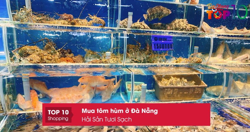 hai-san-tuoi-sach-top10danang