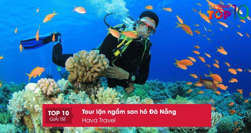 hava-travel-dia-chi-cung-cap-tour-lan-ngam-san-ho-da-nang-top10danang