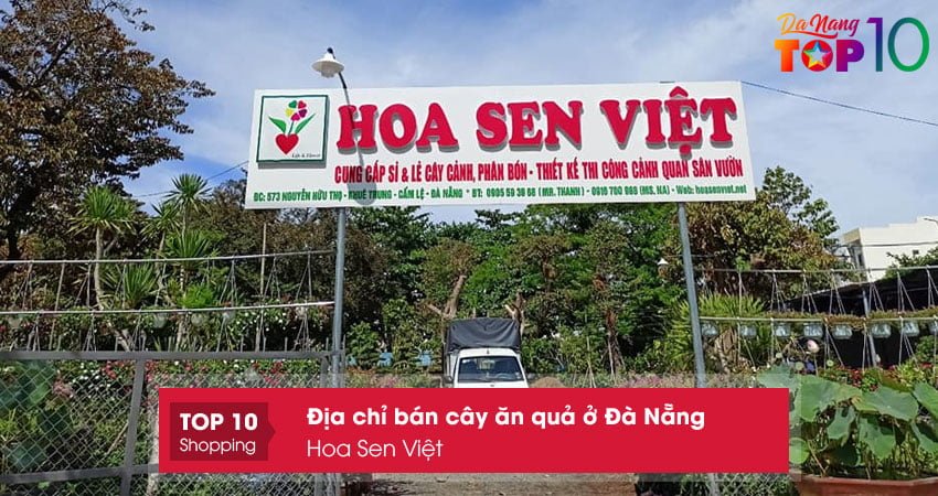 Top 5+ Địa Chỉ Bán Cây Ăn Quả Ở Đà Nẵng Giống Tốt Giá Rẻ | Top10Danang