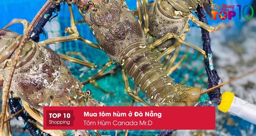 tom-hum-canada-mrd-top10danang