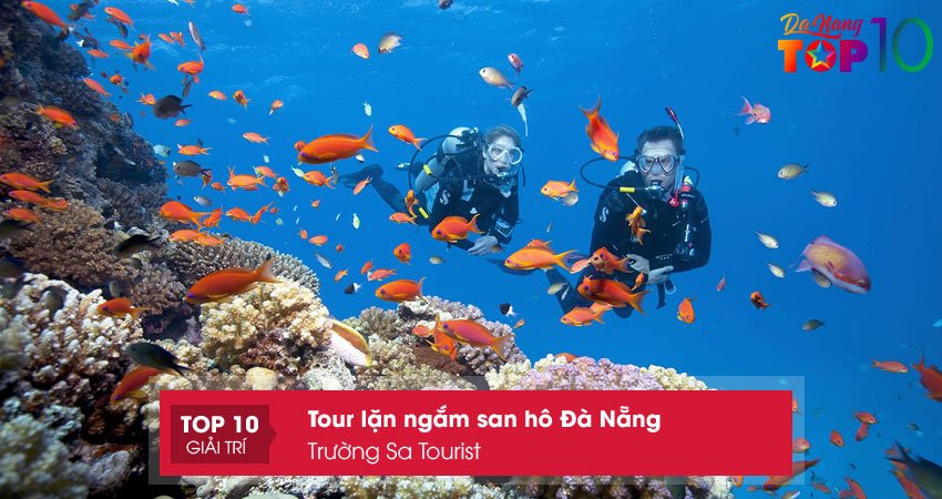 tour-lan-ngam-san-ho-da-nang-truong-sa-tourist-top10danang