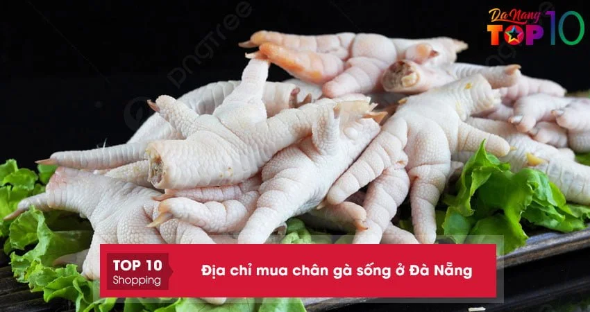 10+ địa chỉ mua chân gà sống ở Đà Nẵng tươi NGON chất lượng