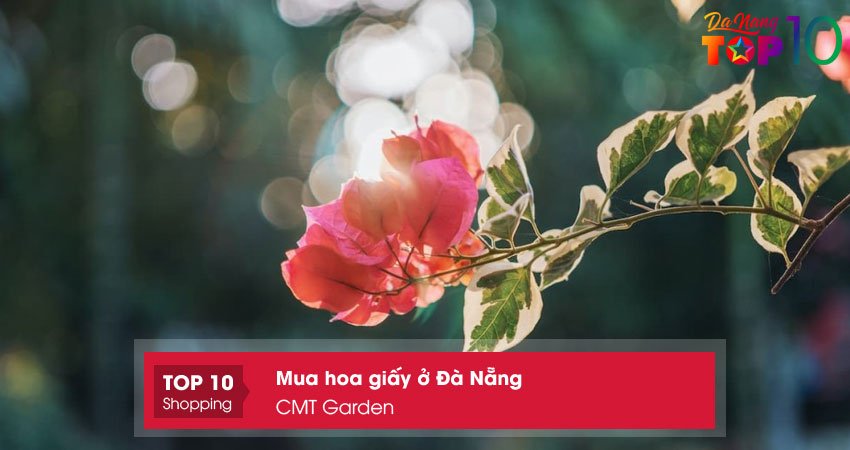 cmt-garden-mua-hoa-giay-o-da-nang-gia-si-top10danang