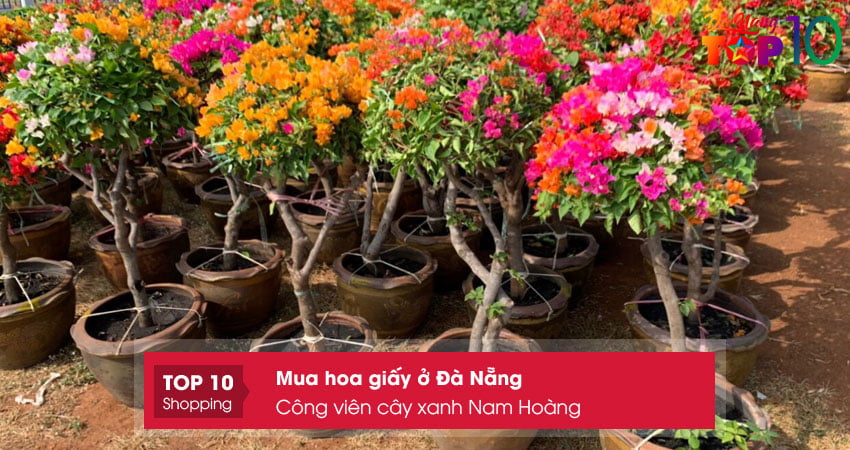 cong-vien-cay-xanh-nam-hoang-top10danang