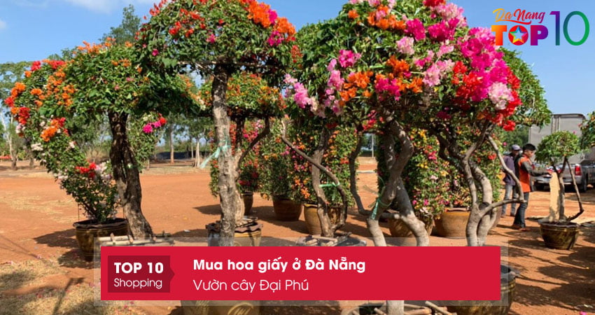 vuon-cay-dai-phu-top10danang