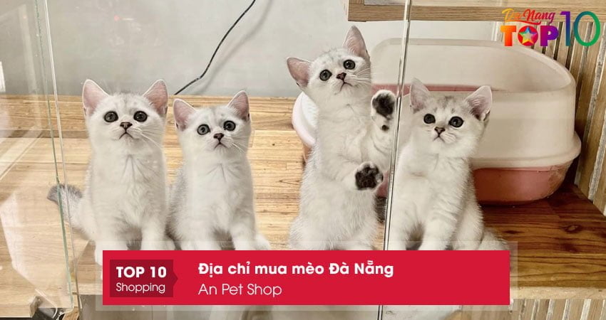 an-pet-shop-top10danang
