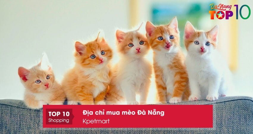kpetmart-top10danang