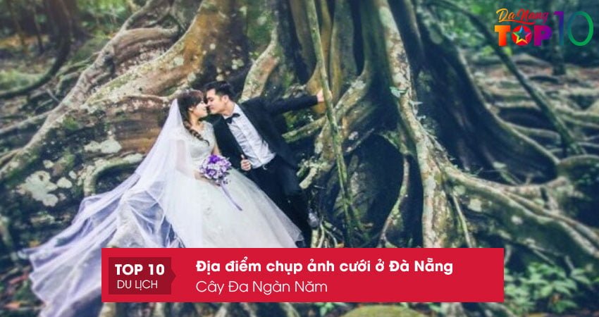 cay-da-ngan-nam-top10danang