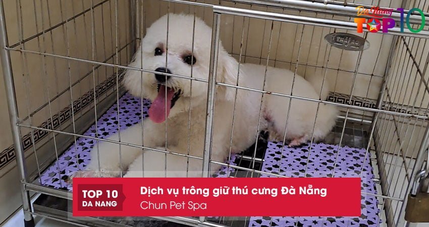 chun-pet-spa-top10danang