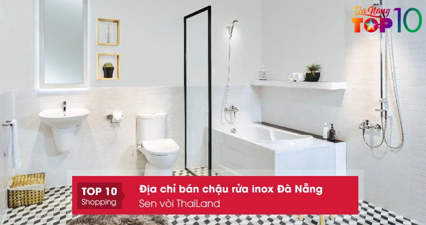 cong-ty-phan-phoi-si-thiet-bi-ve-sinh-sen-voi-thailand-top10danang