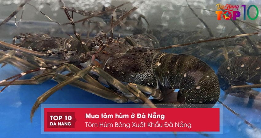 tom-hum-bong-xuat-khau-da-nang-top10danang