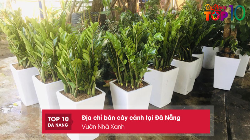 Vuon-nha-xanh-top10danang