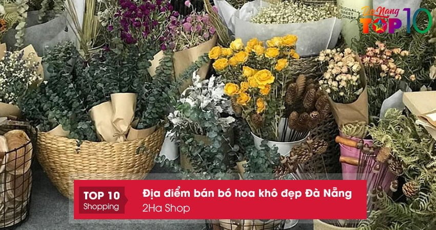 2ha-shop-cua-hang-ban-bo-hoa-kho-dep-da-nang-top10danang