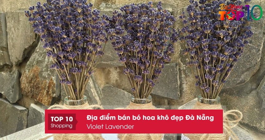 violet-lavender-top10danang