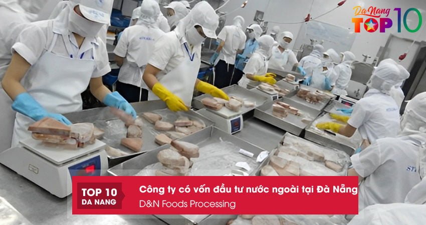 dn-foods-processing-cong-ty-co-von-dau-tu-nuoc-ngoai-tai-da-nang-uy-tin-nhat-top10danang