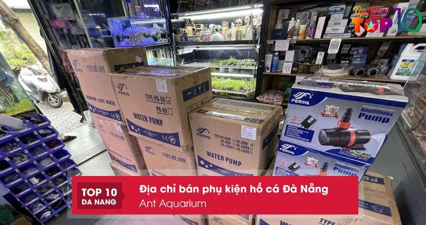 ant-aquarium-top10danang