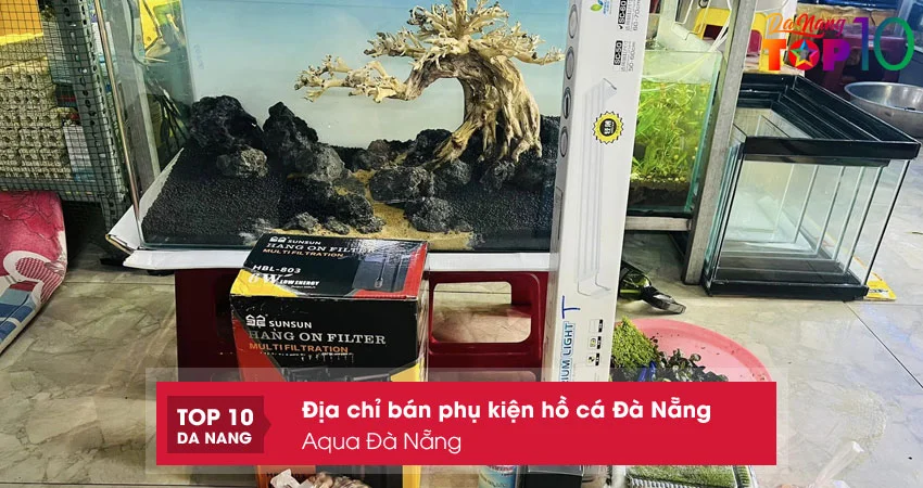 aqua-da-nang-top10danang