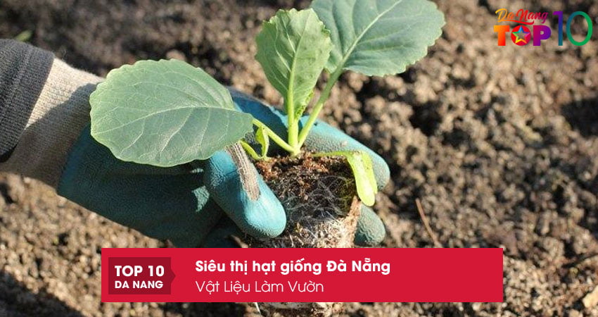 vat-lieu-lam-vuon-top10danang