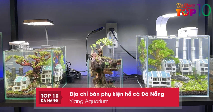 ylang-aquarium-top10danang