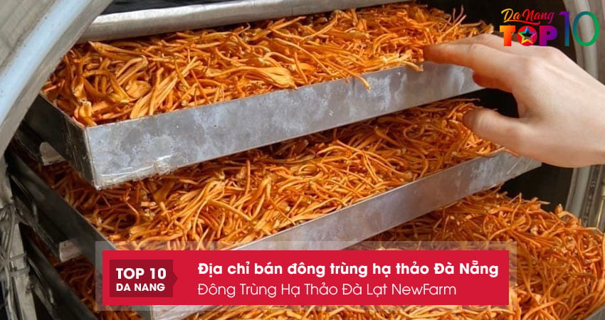 Dong-trung-ha-thao-da-lat-newfarm-top10danang