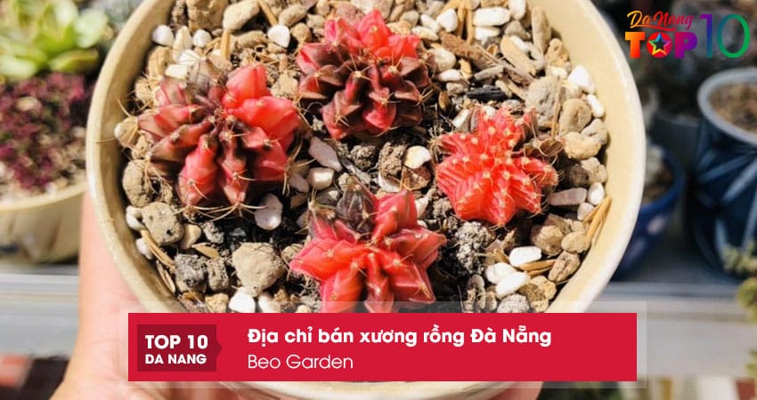 Beo-garden-top10danang