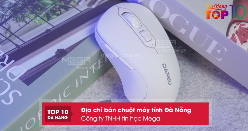 Cong-ty-tnhh-tin-hoc-mega-top10danang