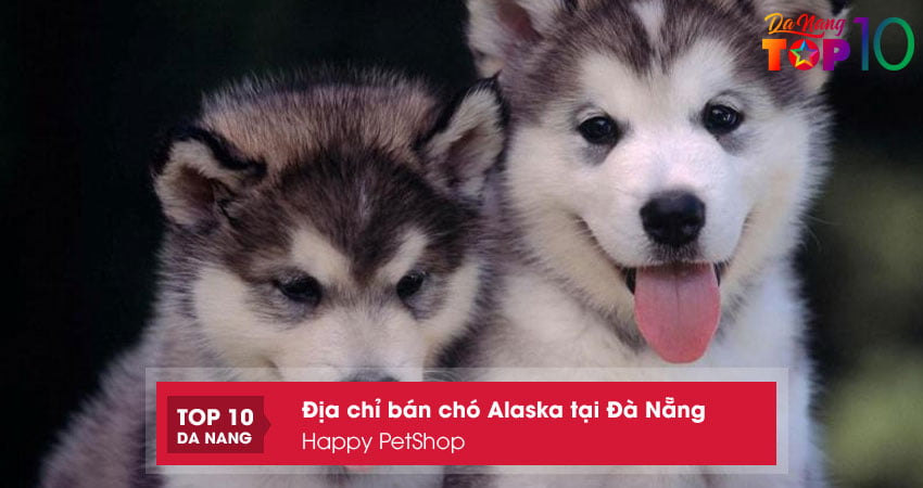 Happy-petshop-top10danang