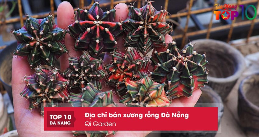 Qi-garden-top10danang