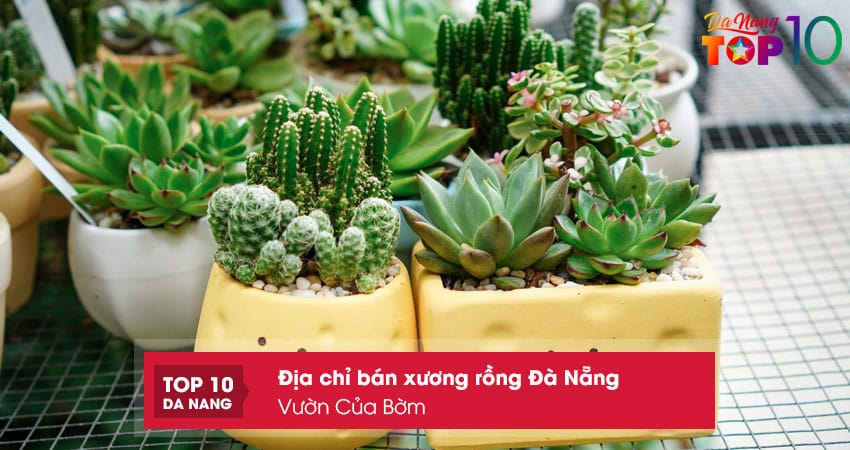 Vuon-cua-bom-top10danang