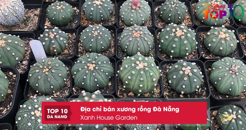 Xanh-house-garden-top10danang