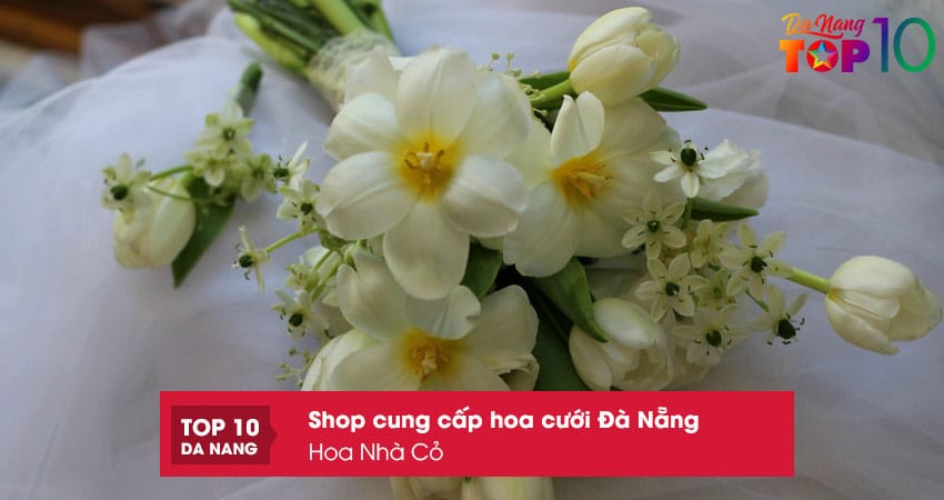 Hoa-nha-co-top10danang