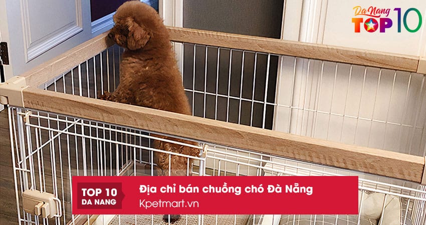 Kpetmartvn-top10danang