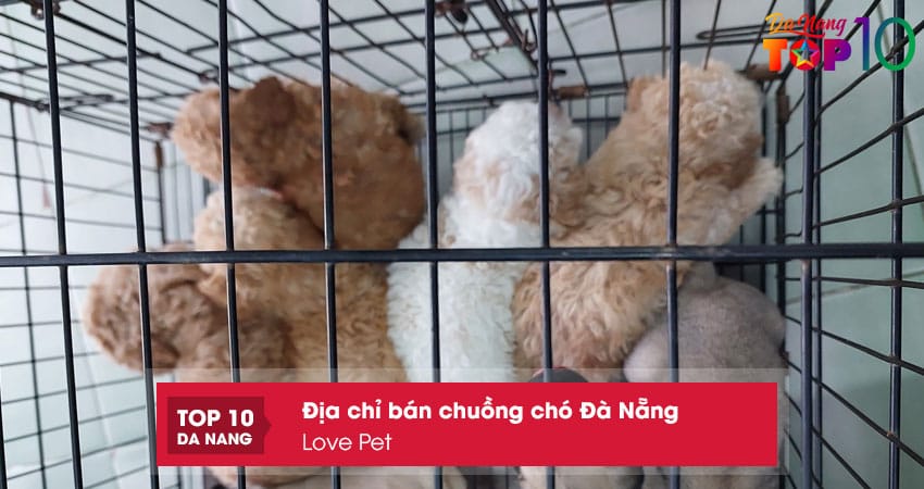 Love-pet-top10danang