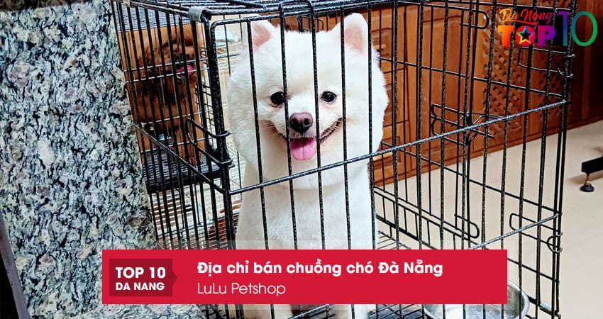 Lulu-petshop-top10danang