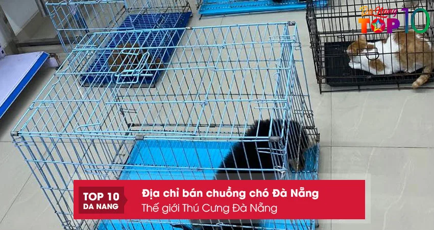 The-gioi-thu-cung-da-nang-top10danang