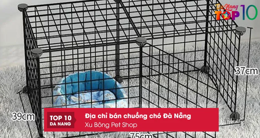 Xu-bong-pet-shop-top10danang