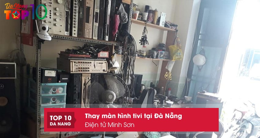 Dien-tu-minh-son-top10danang