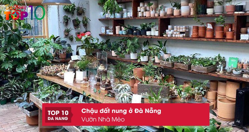 Vuon-nha-meo-top10danang