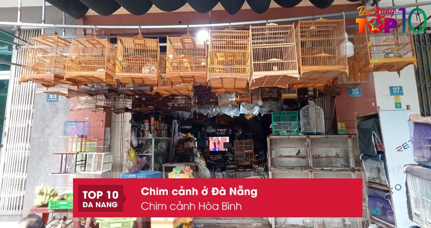 Chim-canh-hoa-binh-top10danang