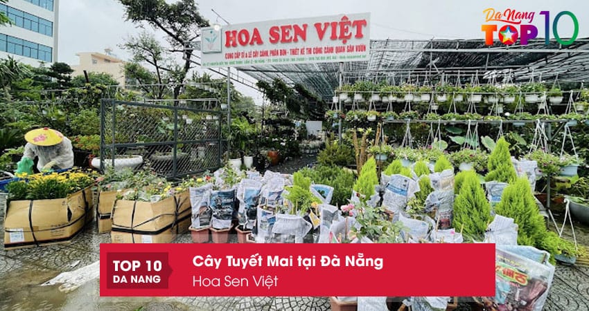 Cong-ty-tnhh-cay-xanh-canh-quan-hoa-sen-viet-top10danang