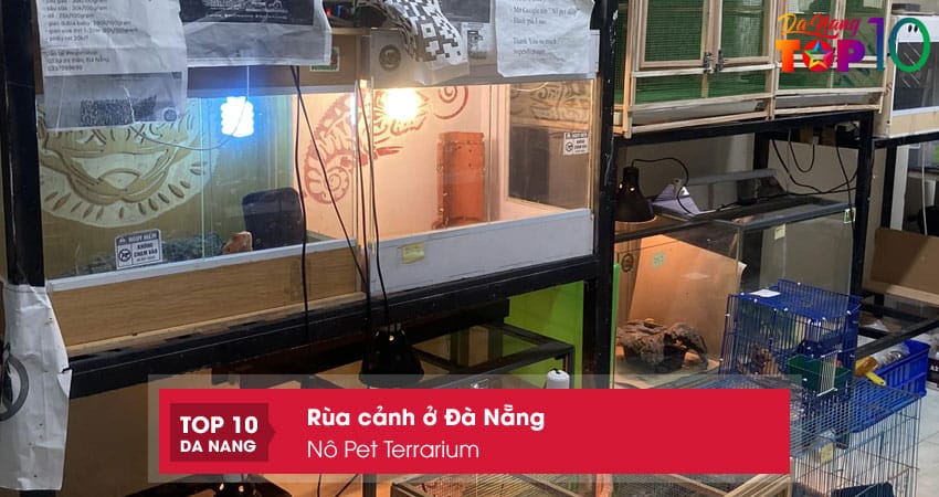 No-pet-terrarium-top10danang