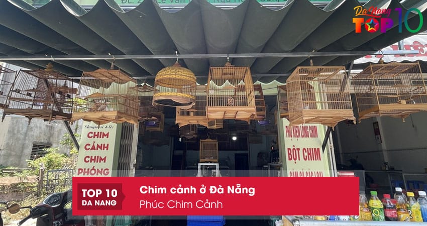 Phuc-chim-canh-2-top10danang