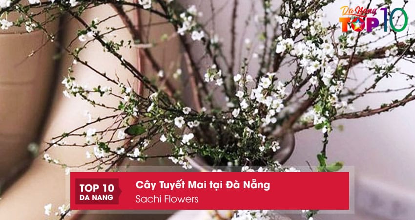 Sachi-flowers-top10danang